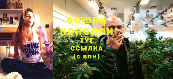 сатива Богородск