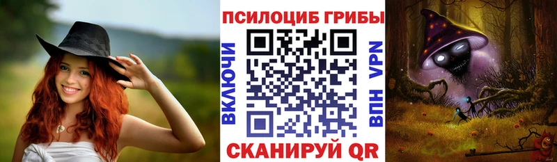 купить наркотик  Камень-на-Оби  Галлюциногенные грибы Psilocybine cubensis 